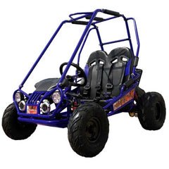 Trailmaster Mini XRX+ 2- Seater GO-KART EAGLE SERIES 163cc Blue