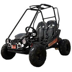 Trailmaster Mini XRX+ 2- Seater GO-KART EAGLE SERIES 163cc Blue