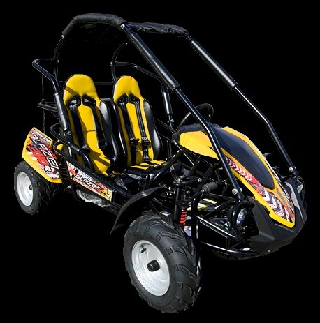 TrailMaster Blazer 200R Mid Go- Kart