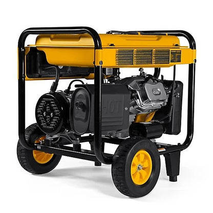 DEWALT 8000 Watt Portable Gas Generator DXGNR8000