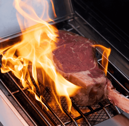 Monument Grills Eminence 605 Advanced Stainless Natural/Propane Gas Grill Eminence 605
