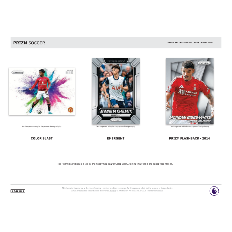2024/25 Panini Prizm EPL Soccer Breakaway 20 Box Case